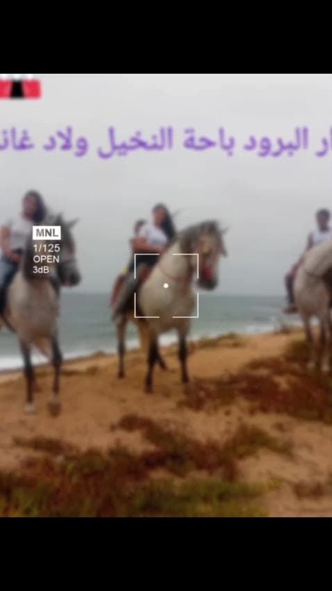 Balade à cheval sur la plage d'Ouled Ghanem