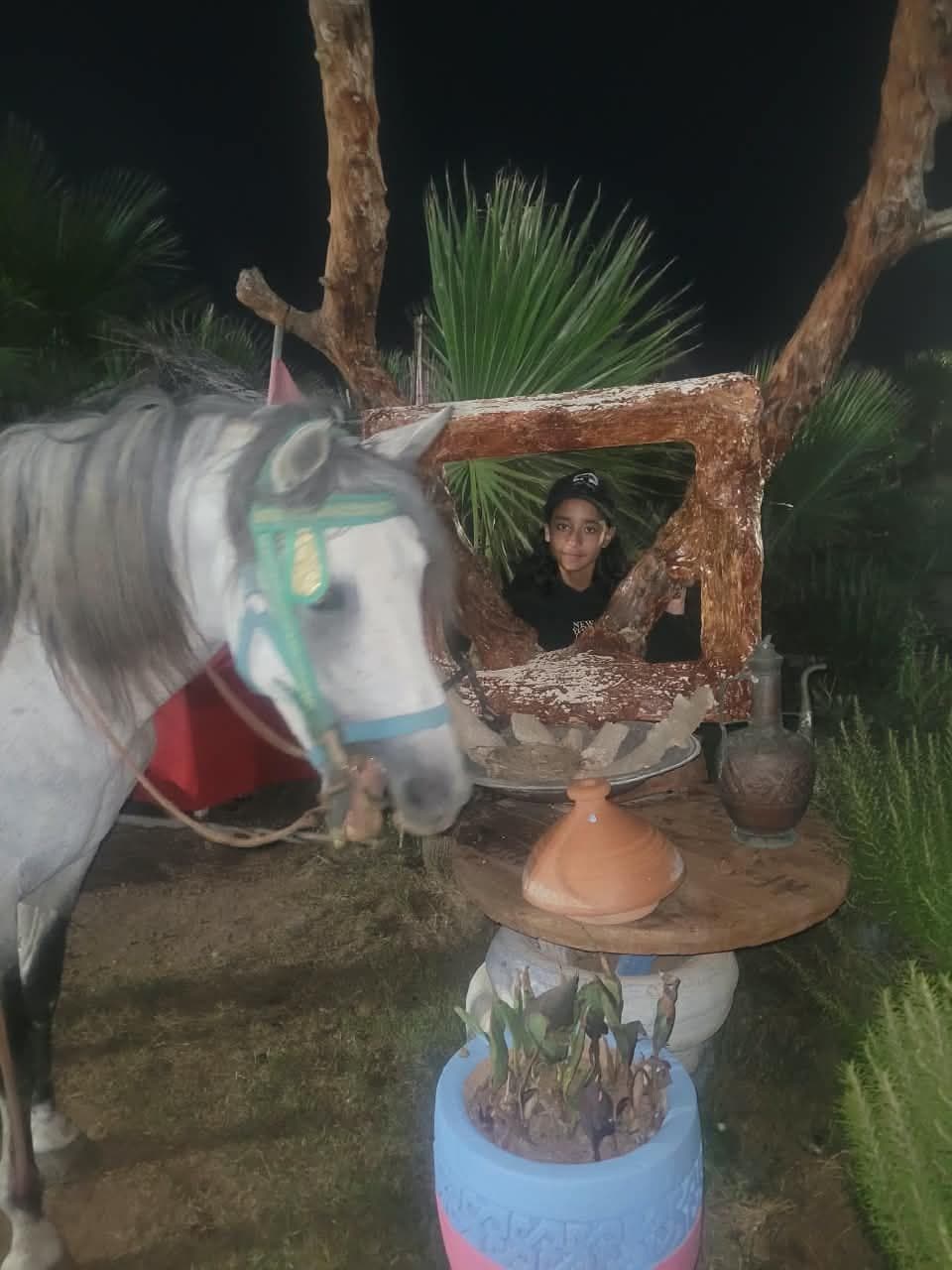 Un moment complice avec nos chevaux