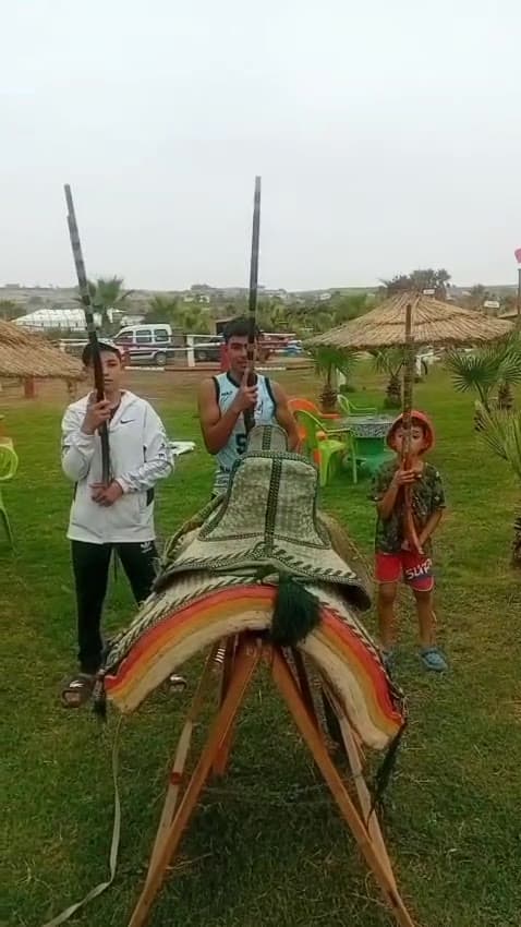 Les enfants découvrent la selle de Tbourida