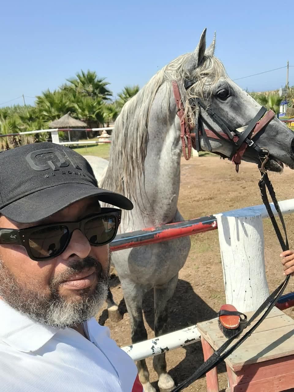 Souvenirs avec nos chevaux