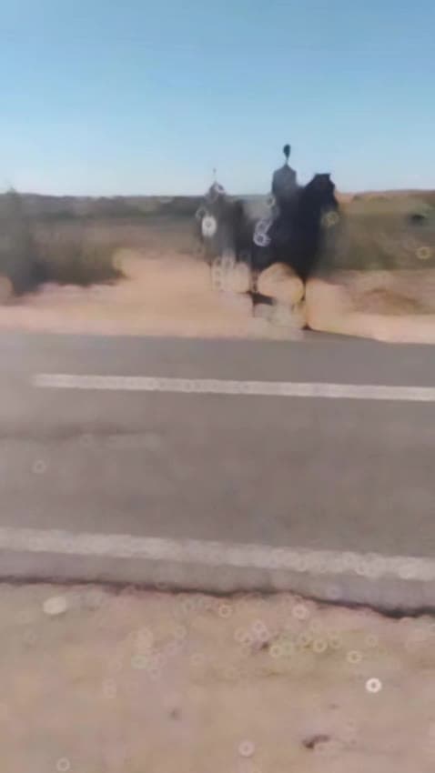 Balade sur la piste